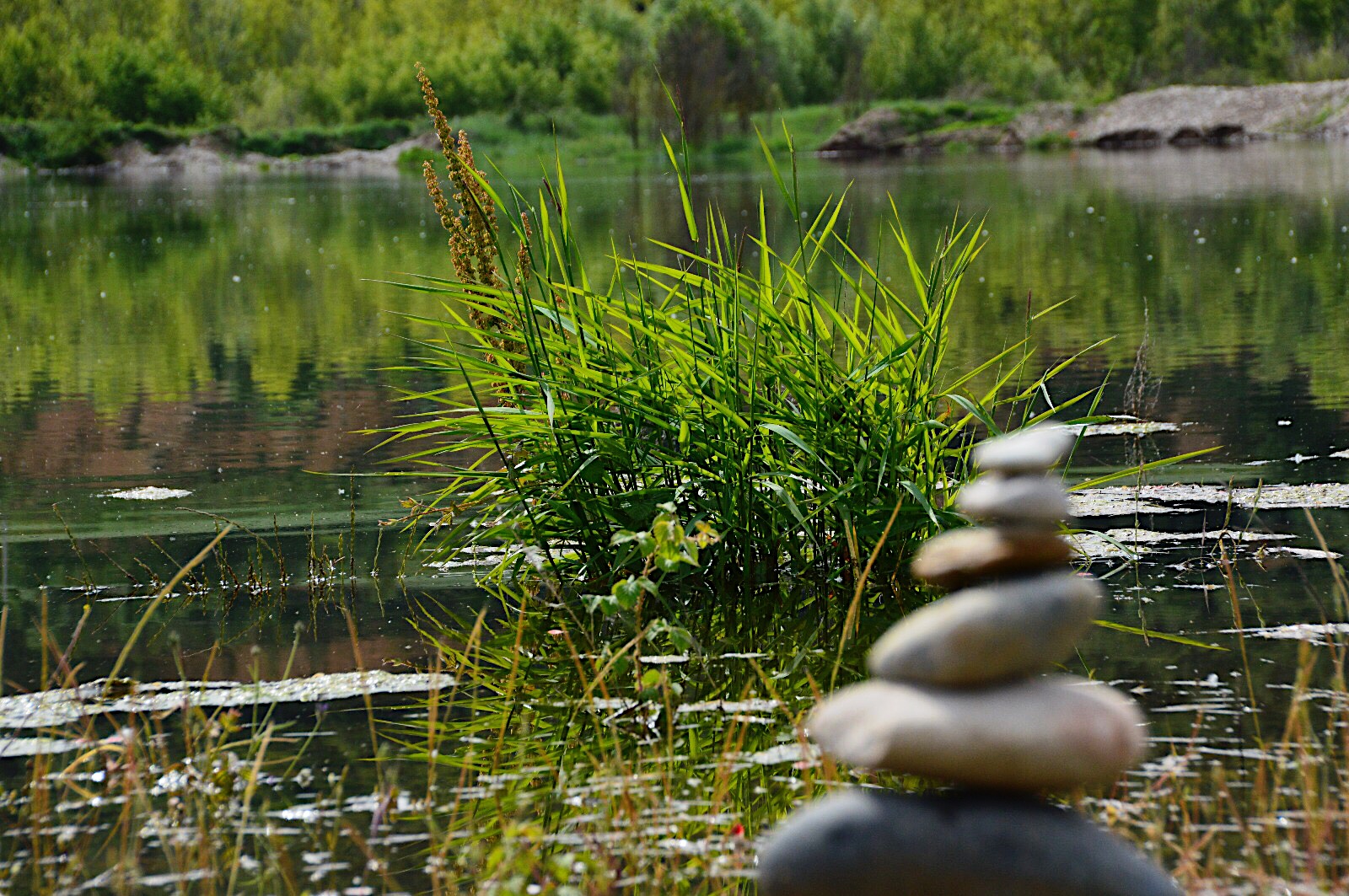 Medio ambiente Exquisitarium