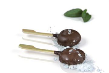 SCHOKOLADEN - GÄNSELEBERLUTSCHE
