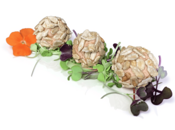 PÂTE DE FOIE AUX  GRAINES DE TOURNESOL CARAMÉLISÉES
