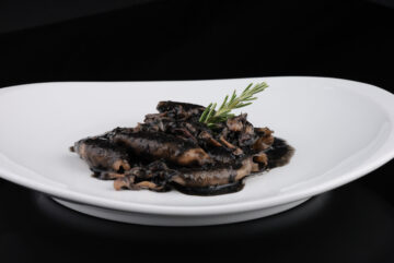 SQUID IN ITS INK