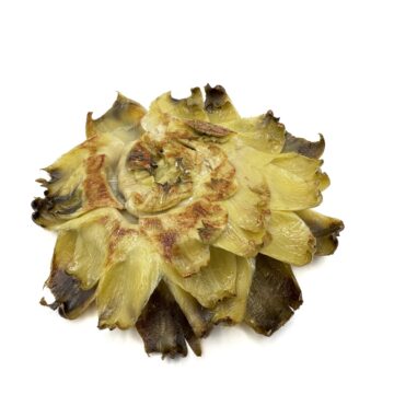 ARTICHOKE FLOWER-UN