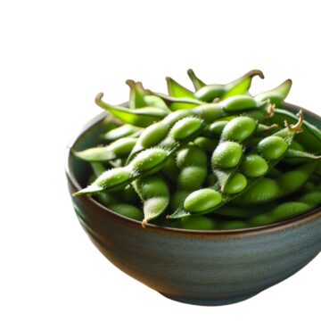EDAMAME