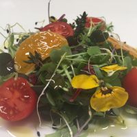 exquisitarium_ingredientes_naturales Ingredientes naturales Exquisitarium